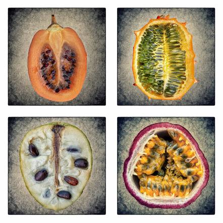 Klaus-Peter Selzer-MFIAP EMDVFs-Exotic Fruits-Annahme